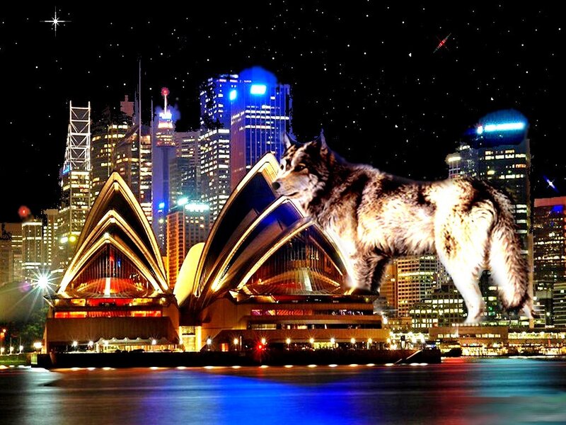 Giant Wolf on Cityscape