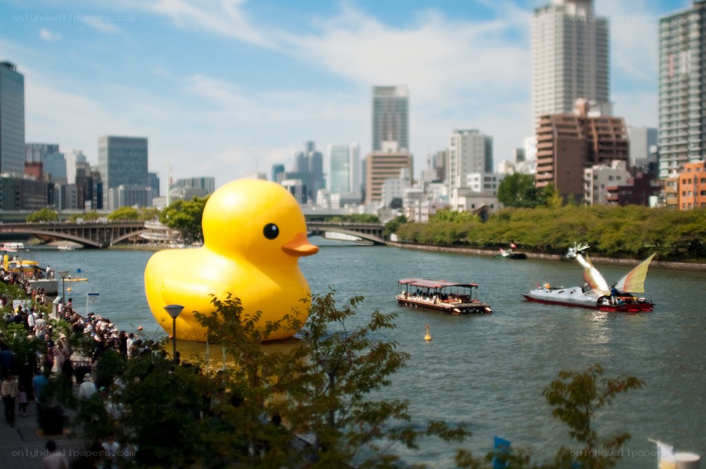 Giant yellow duck in city river