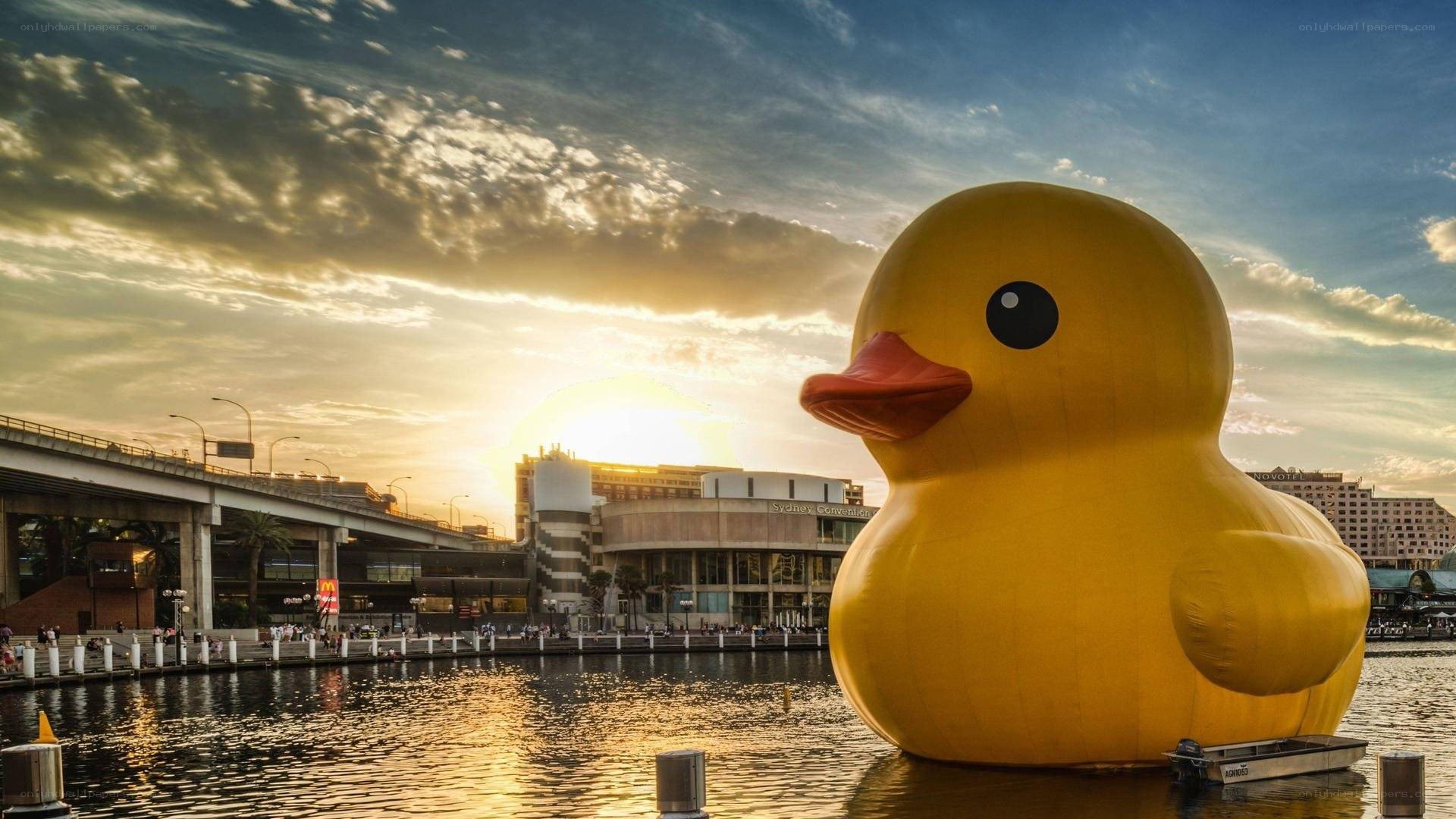 Giant yellow duck in harbor