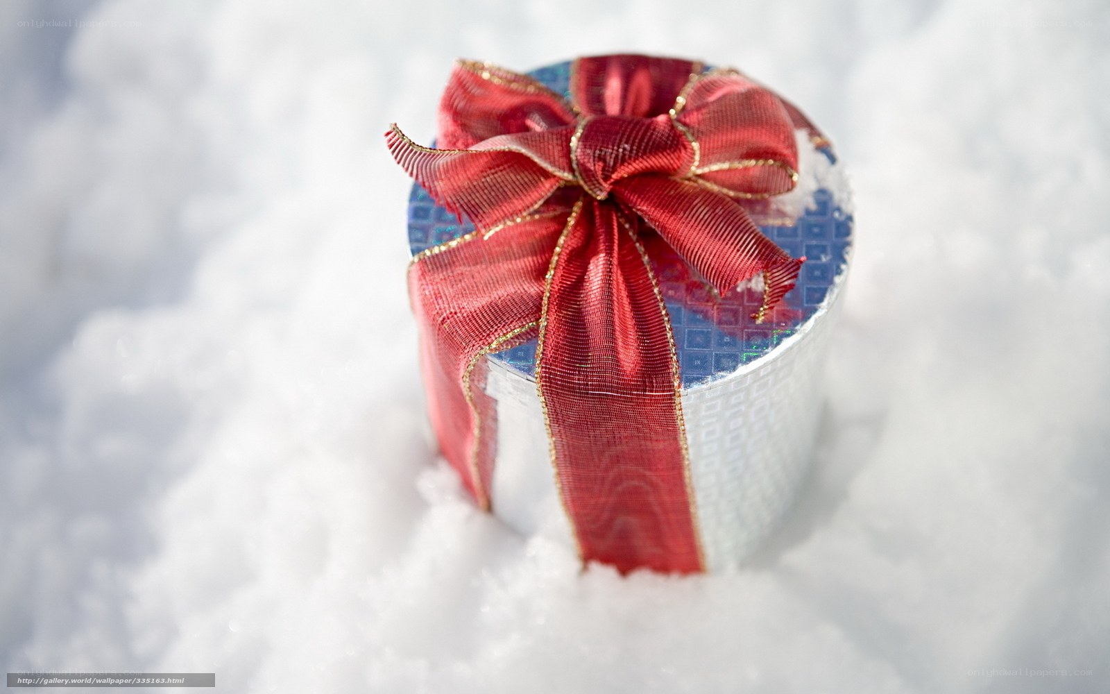Gift box in the snow