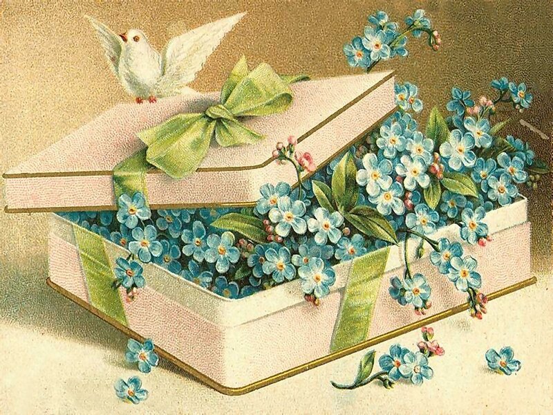 Gift Box with Flowers — Blue