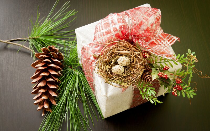 Gift Box with Nest