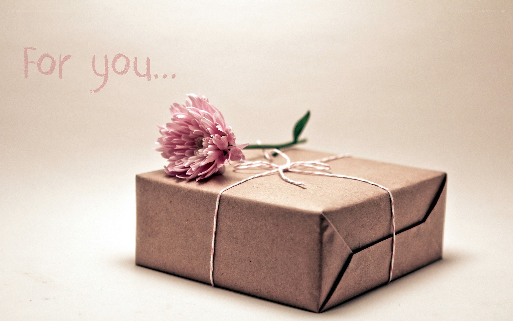 gift box with pink flower