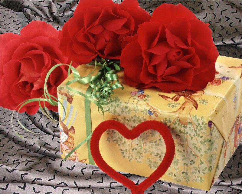 Gift Box with Red Roses — Romantic
