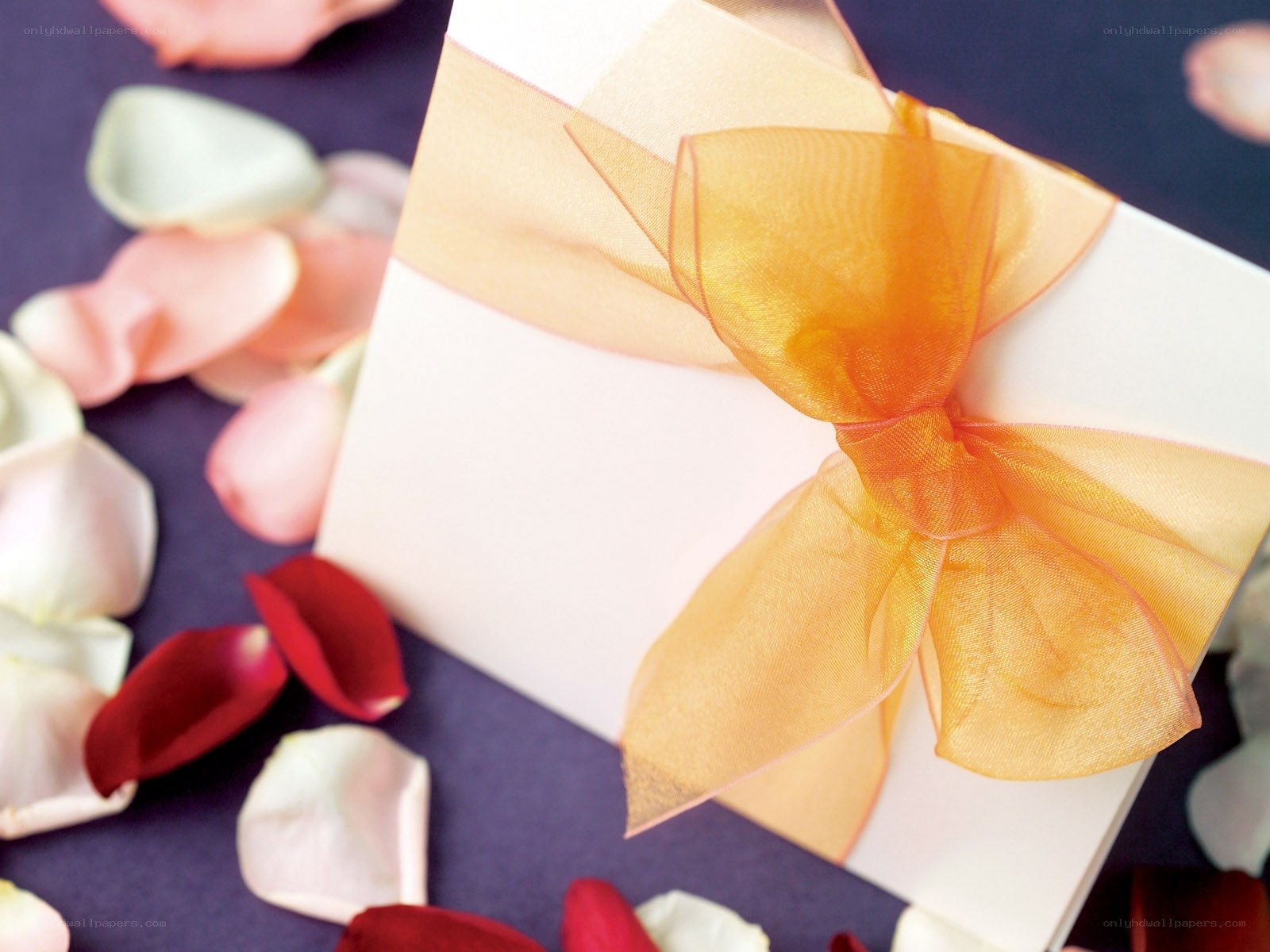 gift box with ribbon and petals