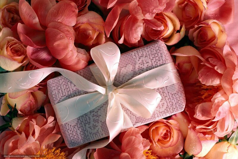 Gift Box with Roses — Pink, Romantic, Photograph, Ribbon, Flowers