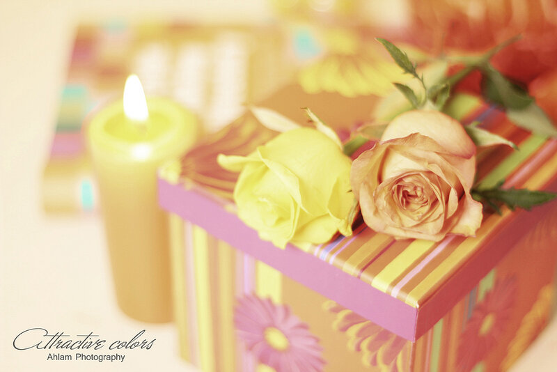 Gift Box with Roses — Yellow, Warm