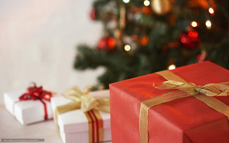 Gift Boxes Near Tree — Red, Festive, Winter