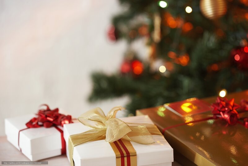 Gift Boxes Near Tree — White