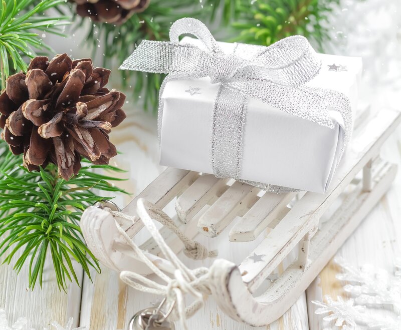 Gift on a Sled