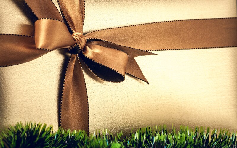 Gift Wrapped with Ribbon — Brown, Festive