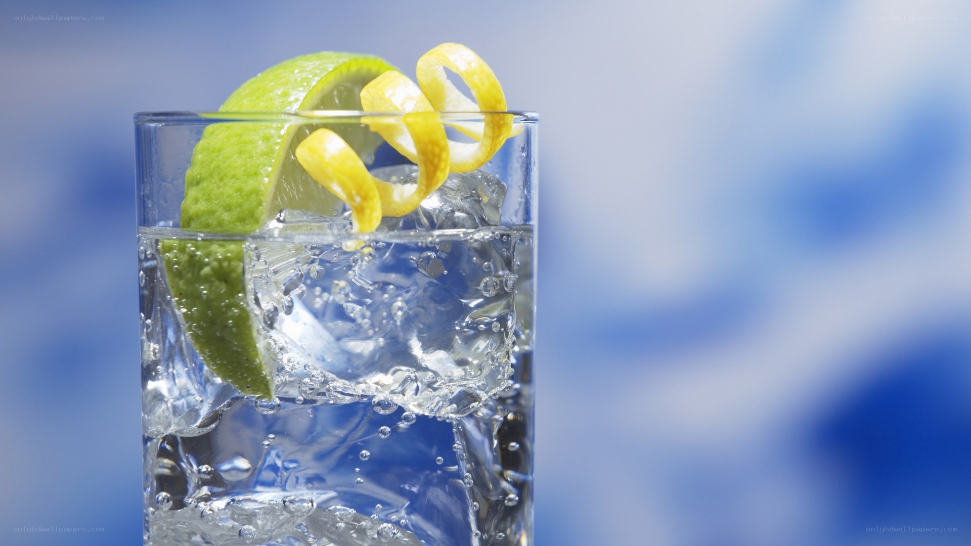 gin and tonic with citrus garnish
