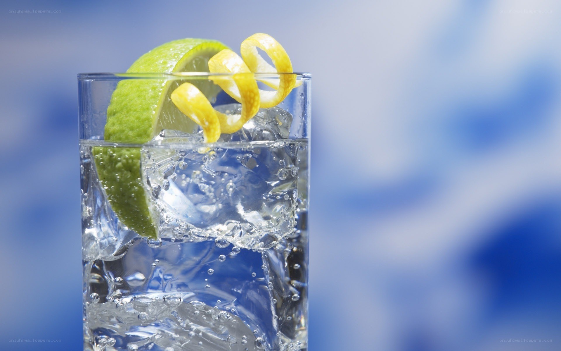 gin and tonic with citrus garnish
