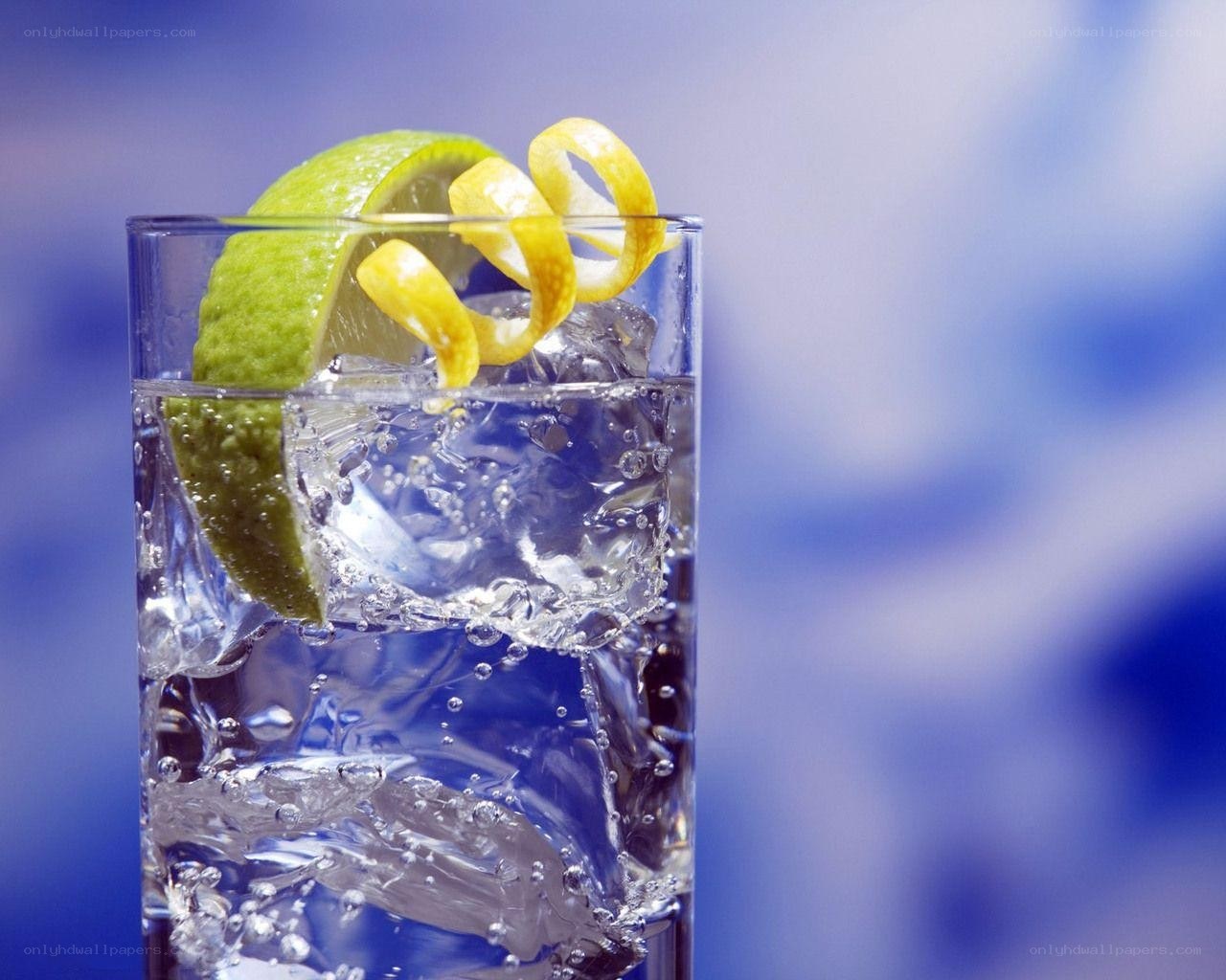 gin and tonic with garnish