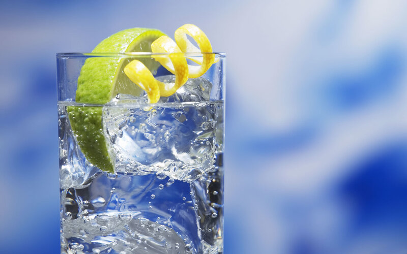gin and tonic with garnish