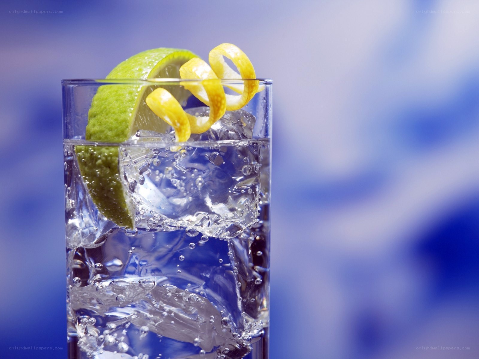 gin and tonic with garnish