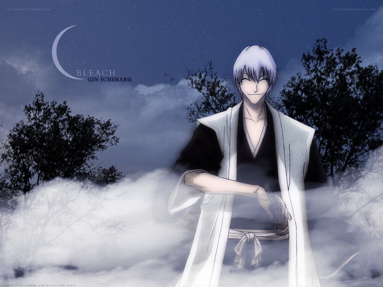 Gin Ichimaru in the mist