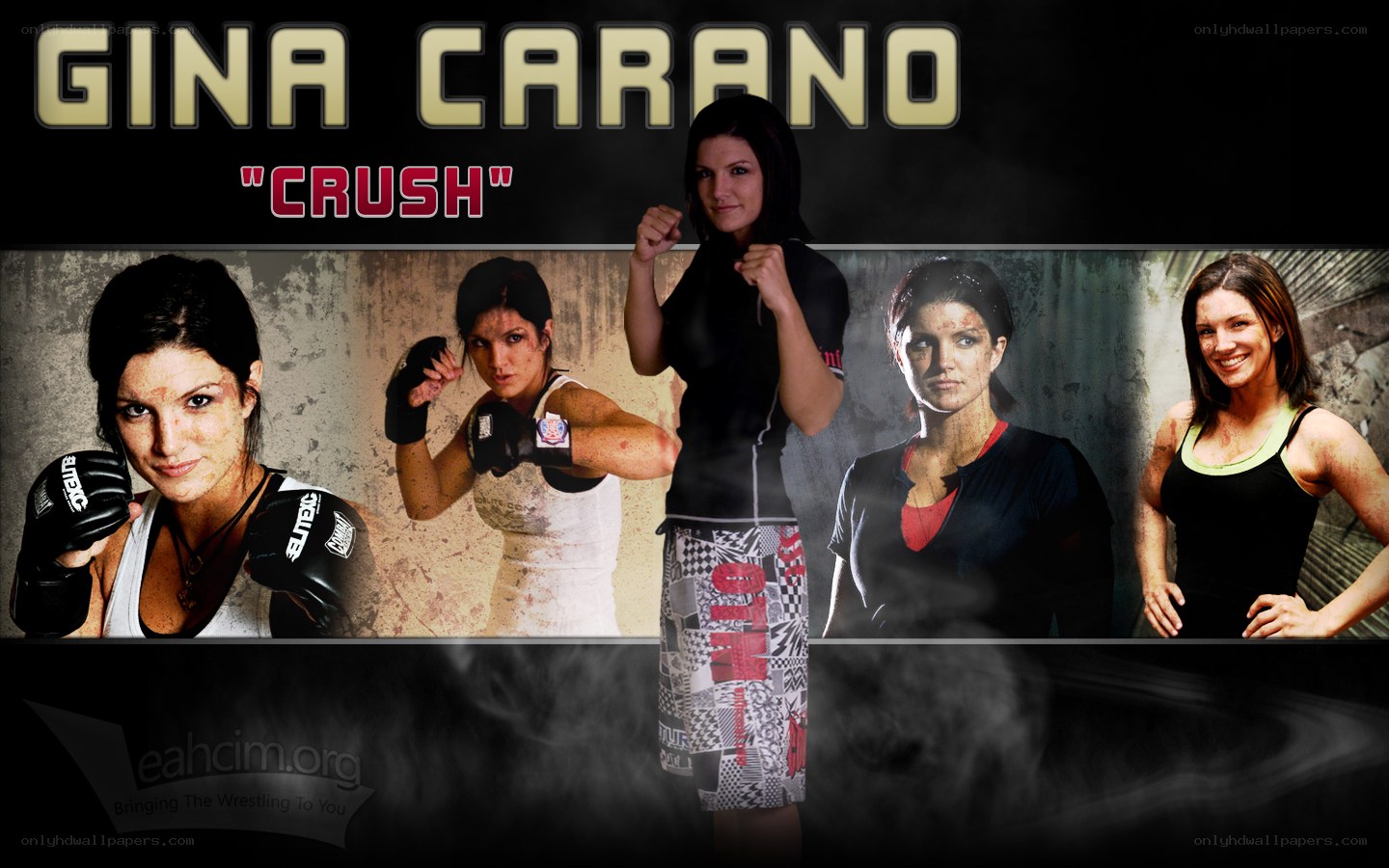 Gina Carano fighter collage