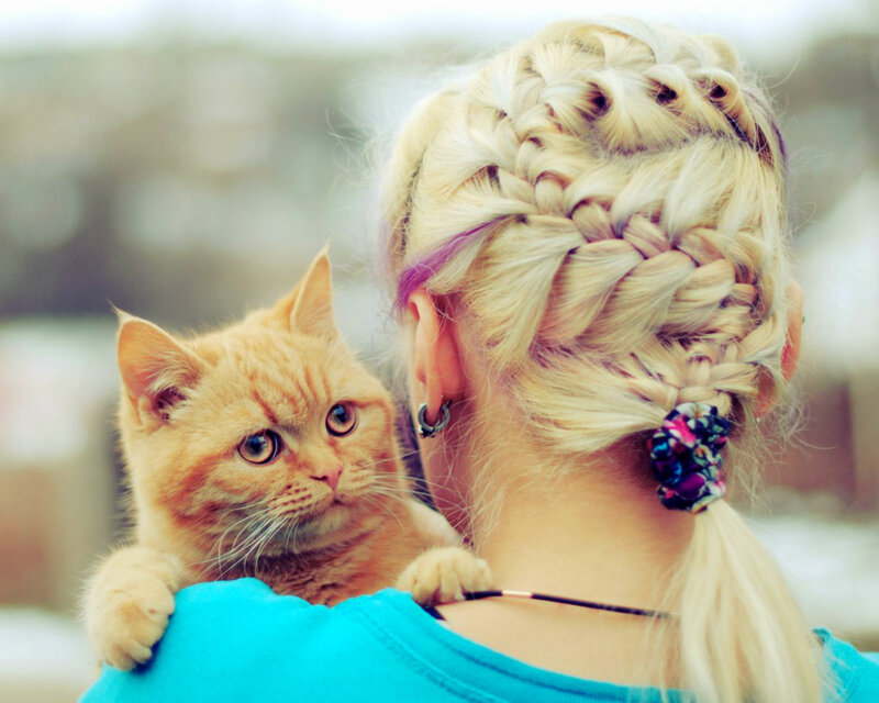 Ginger Cat on Shoulder