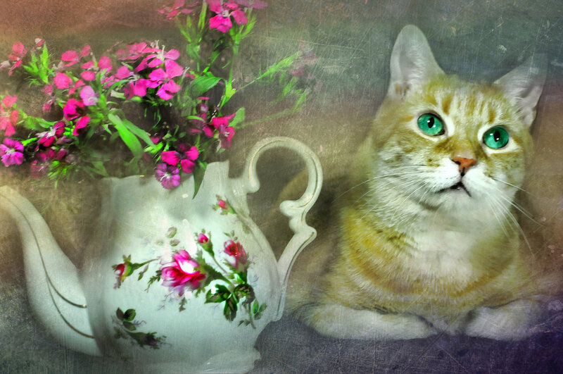 Ginger Cat with Flowers