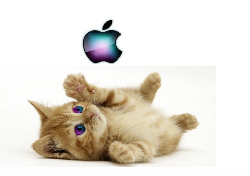 Ginger Kitten Lying Down — Orange, Playful, Photograph