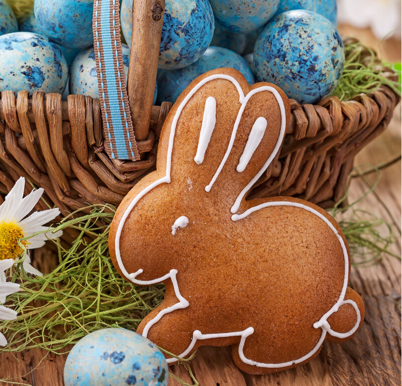 Gingerbread Bunny Cookie