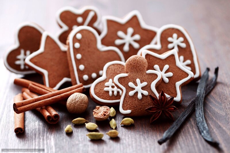 Gingerbread Cookies and Spices — Brown, Cozy, Winter, Photograph