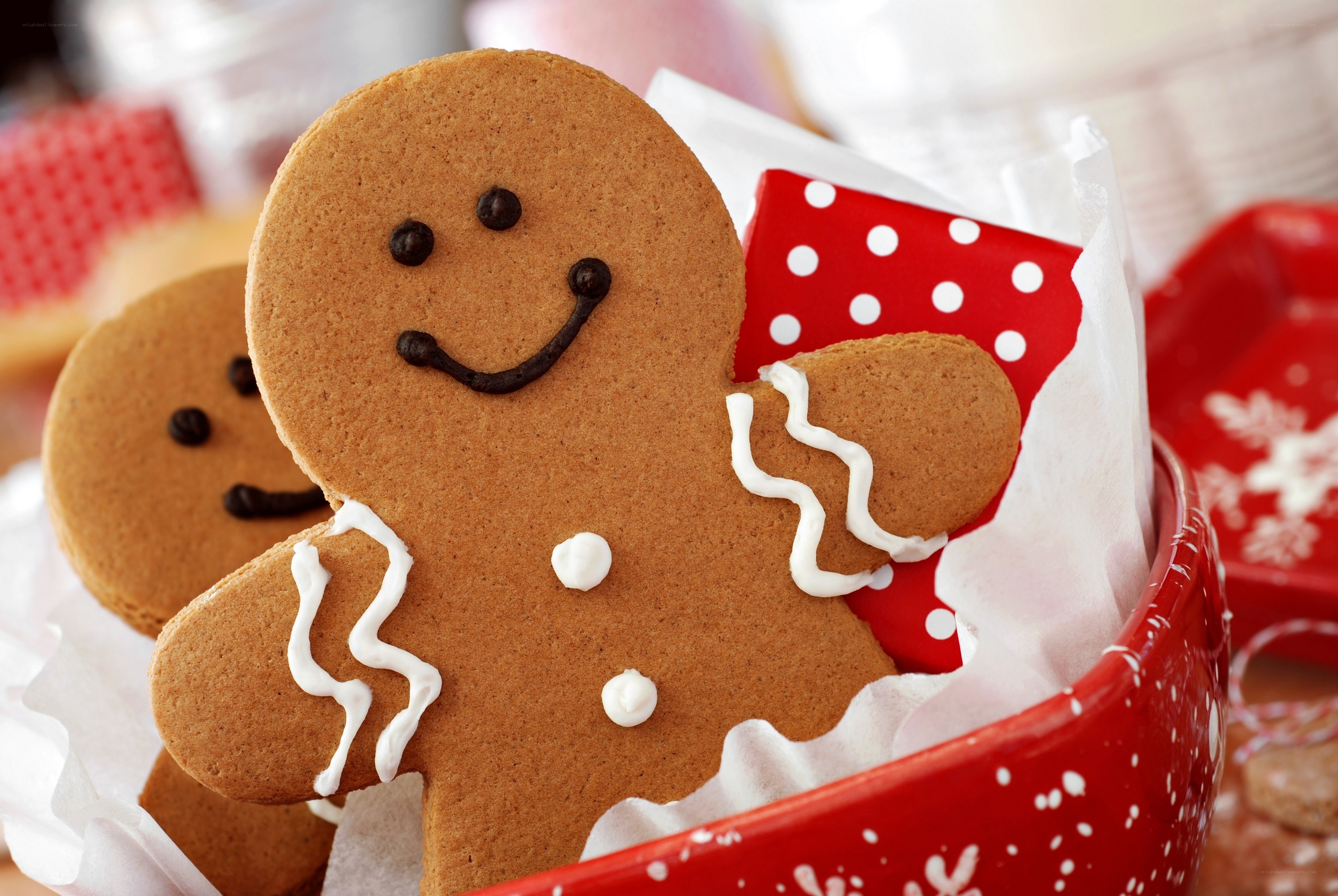 Gingerbread cookies in a red tin