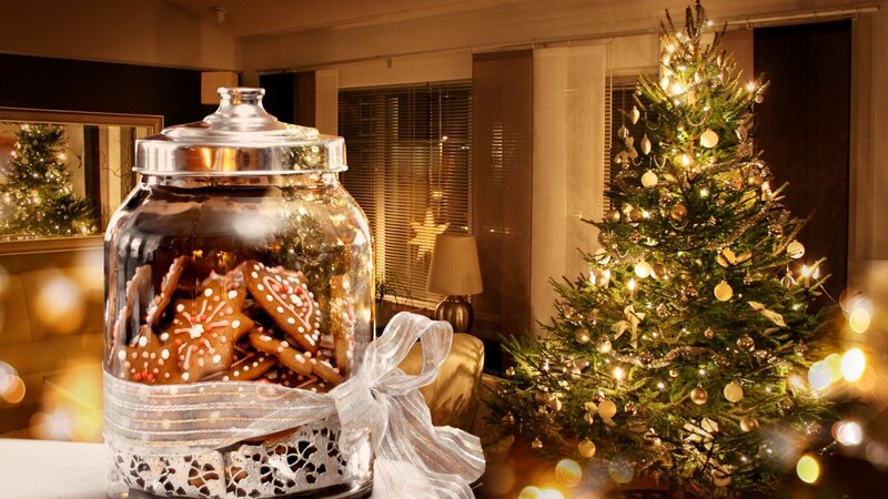 Gingerbread Cookies in Jar — Green, Festive, Night, Photograph