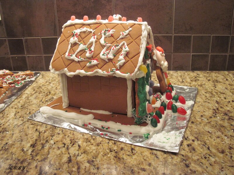Gingerbread House — Brown, Festive, Winter, Photograph, Candy, Icing