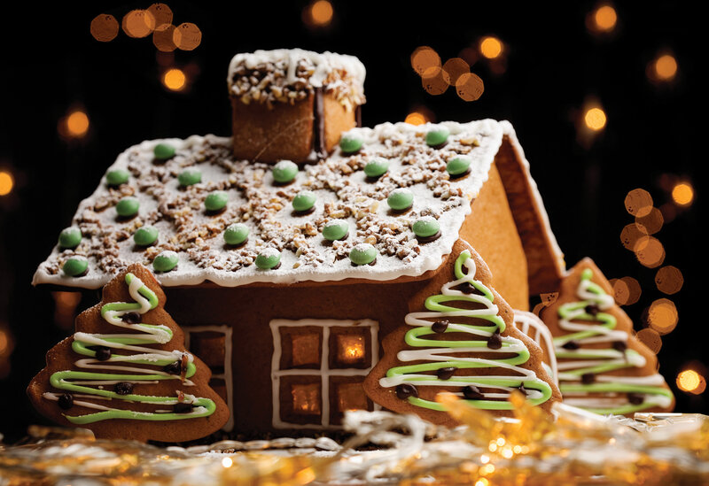 Gingerbread House with Trees — Brown, Festive