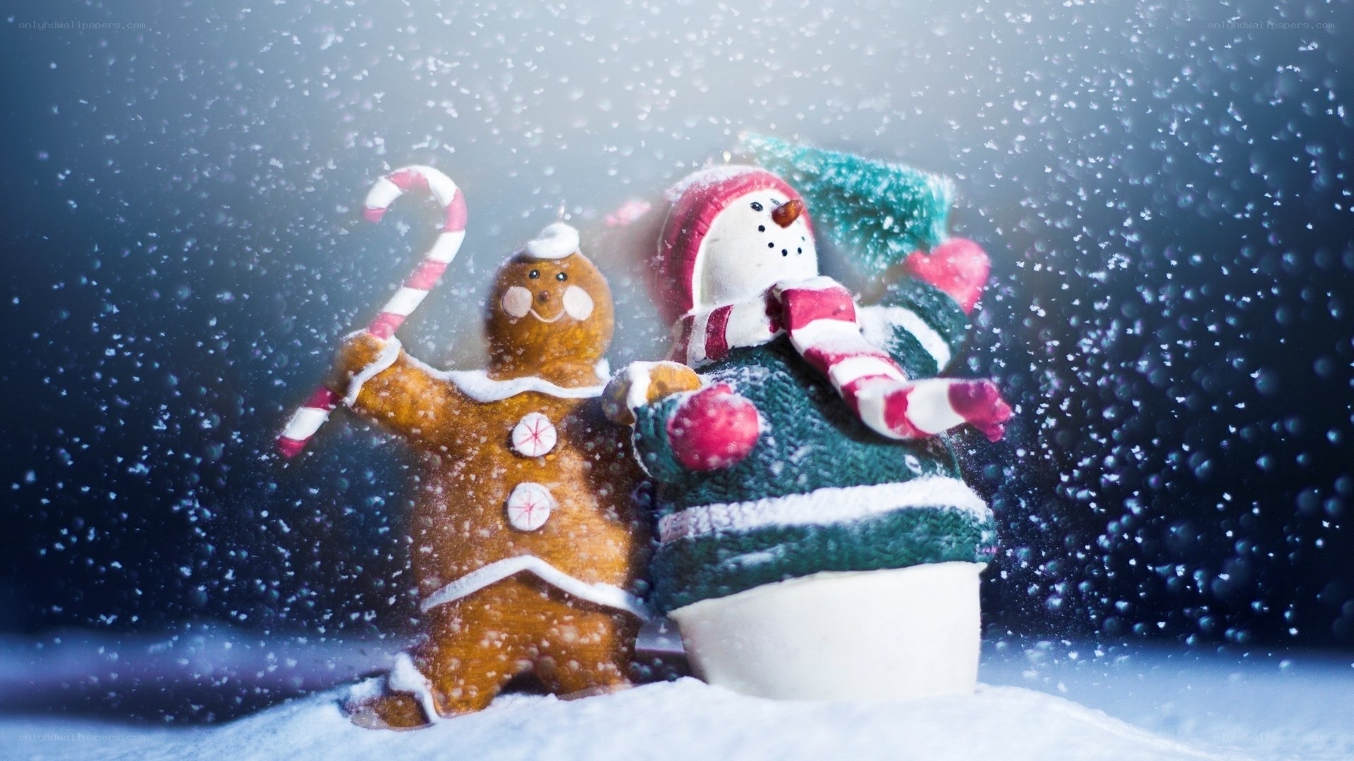 Gingerbread man and snowman in snow