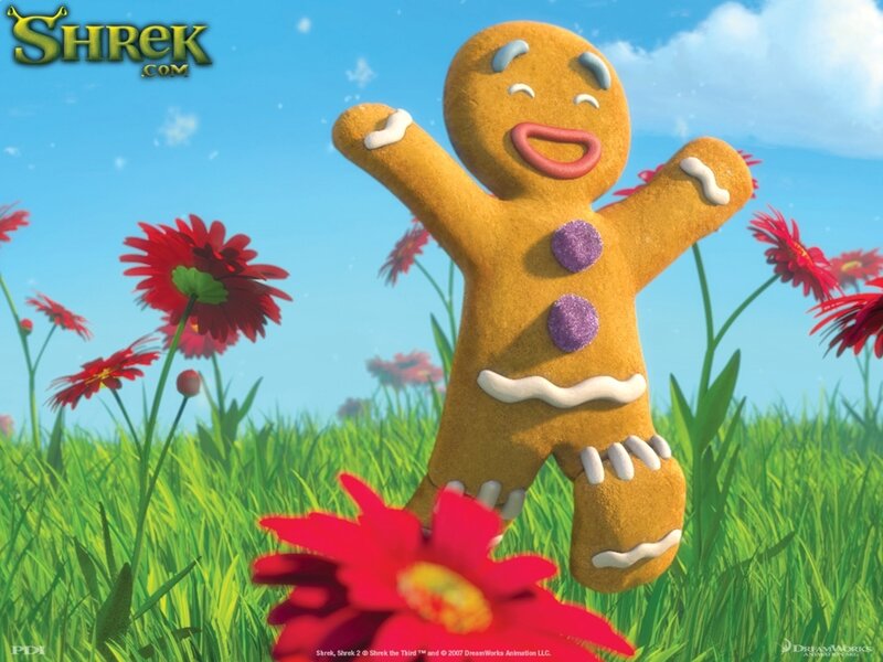 Gingerbread man in a field