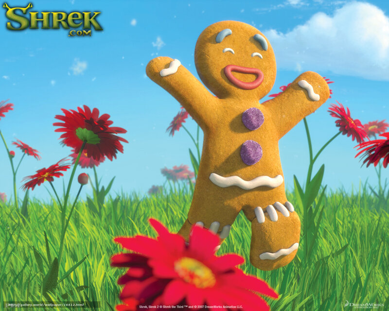 Gingerbread man in a field
