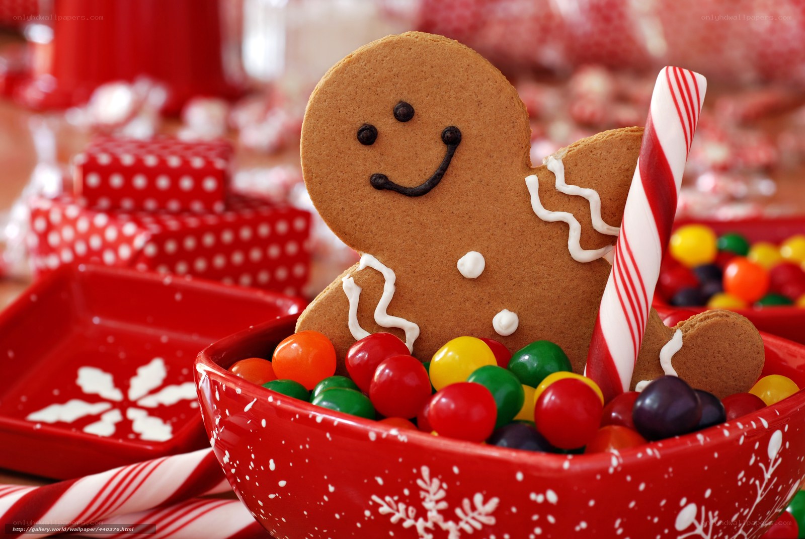 Gingerbread man with candies