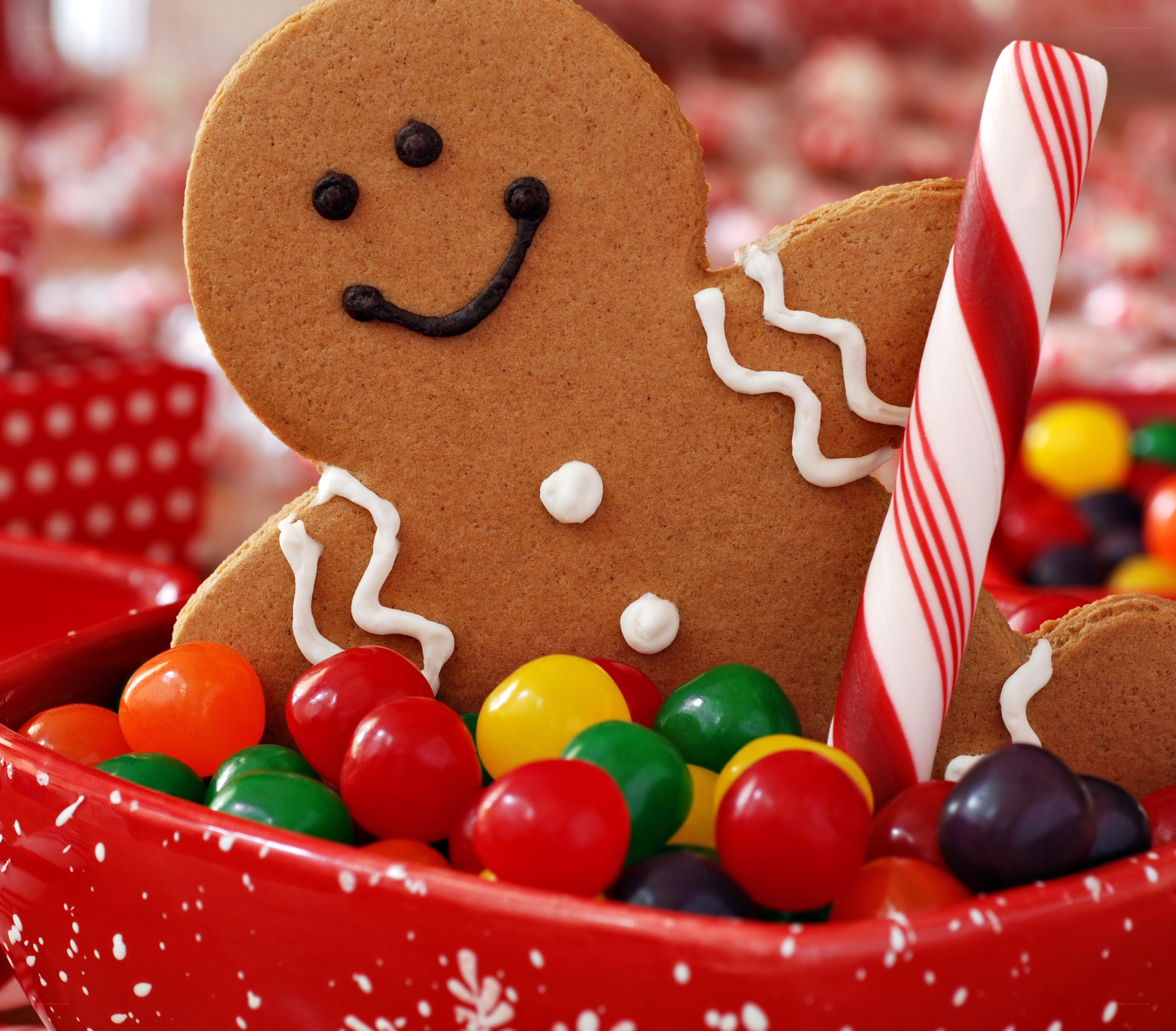Gingerbread man with candies