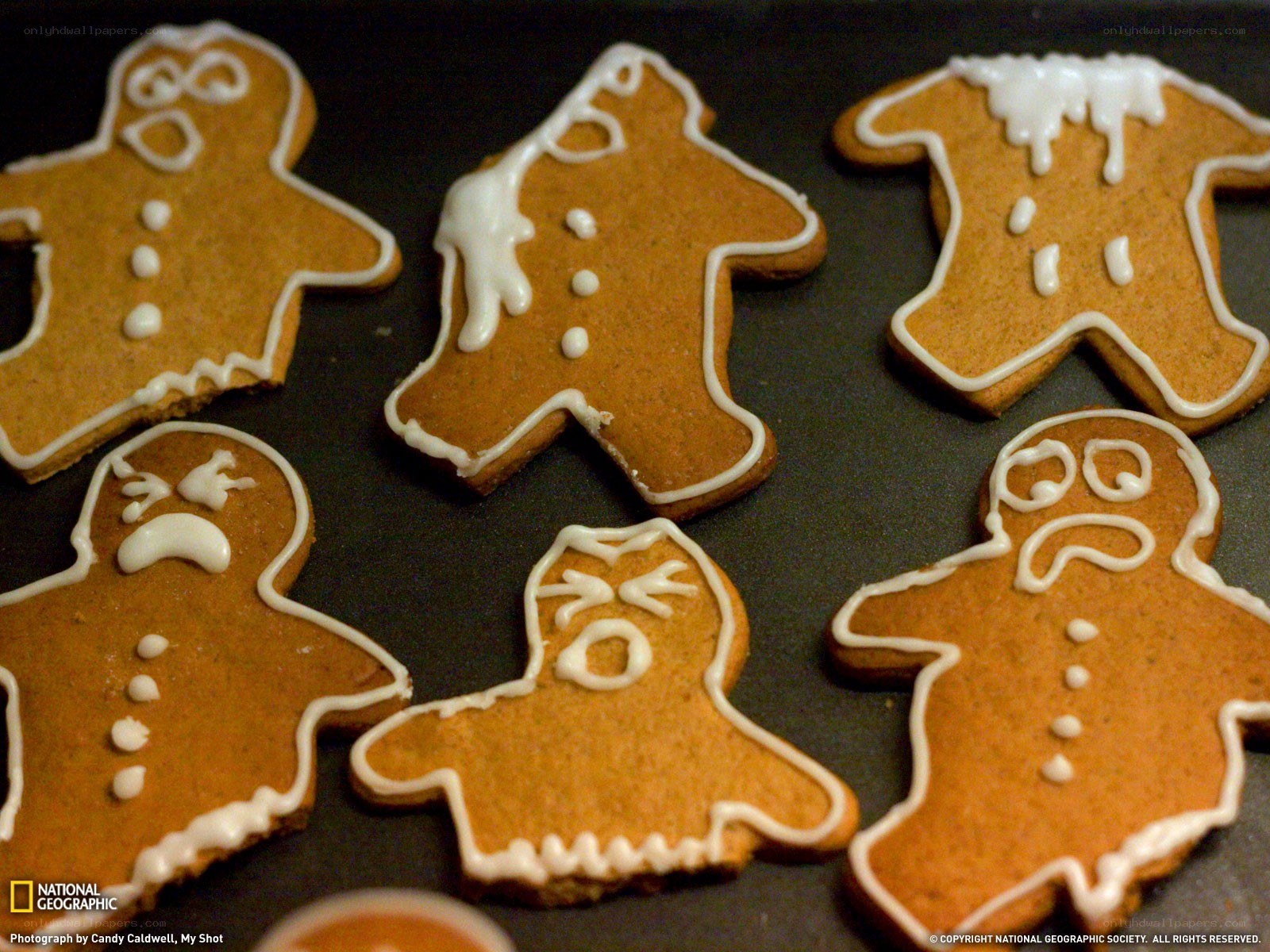 Gingerbread men cookies