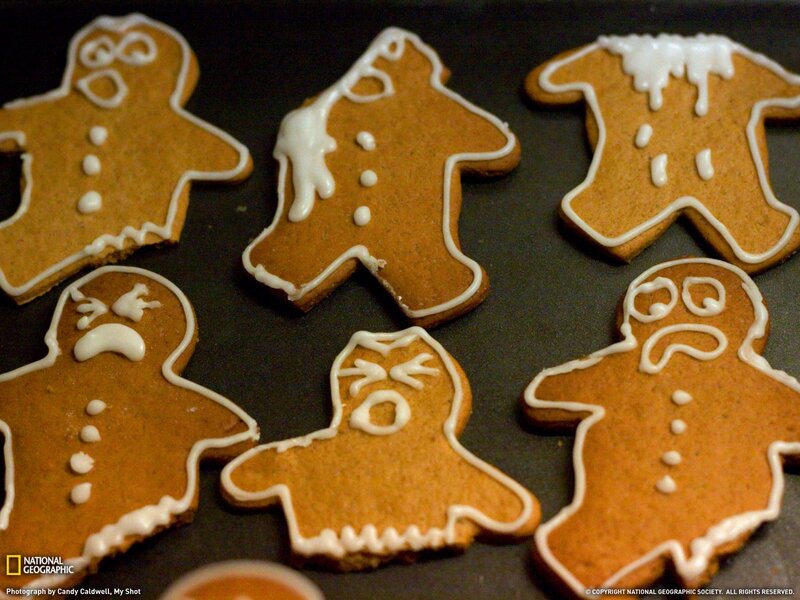 Gingerbread Men Cookies — Brown, Festive, Photograph, Icing