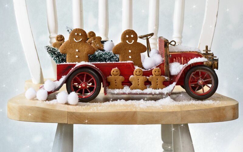 Gingerbread People in Car