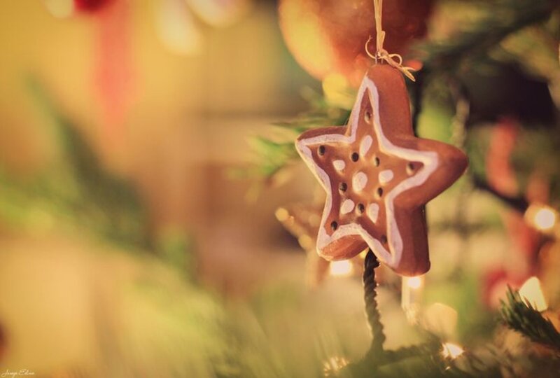 Gingerbread Star Ornament — Brown