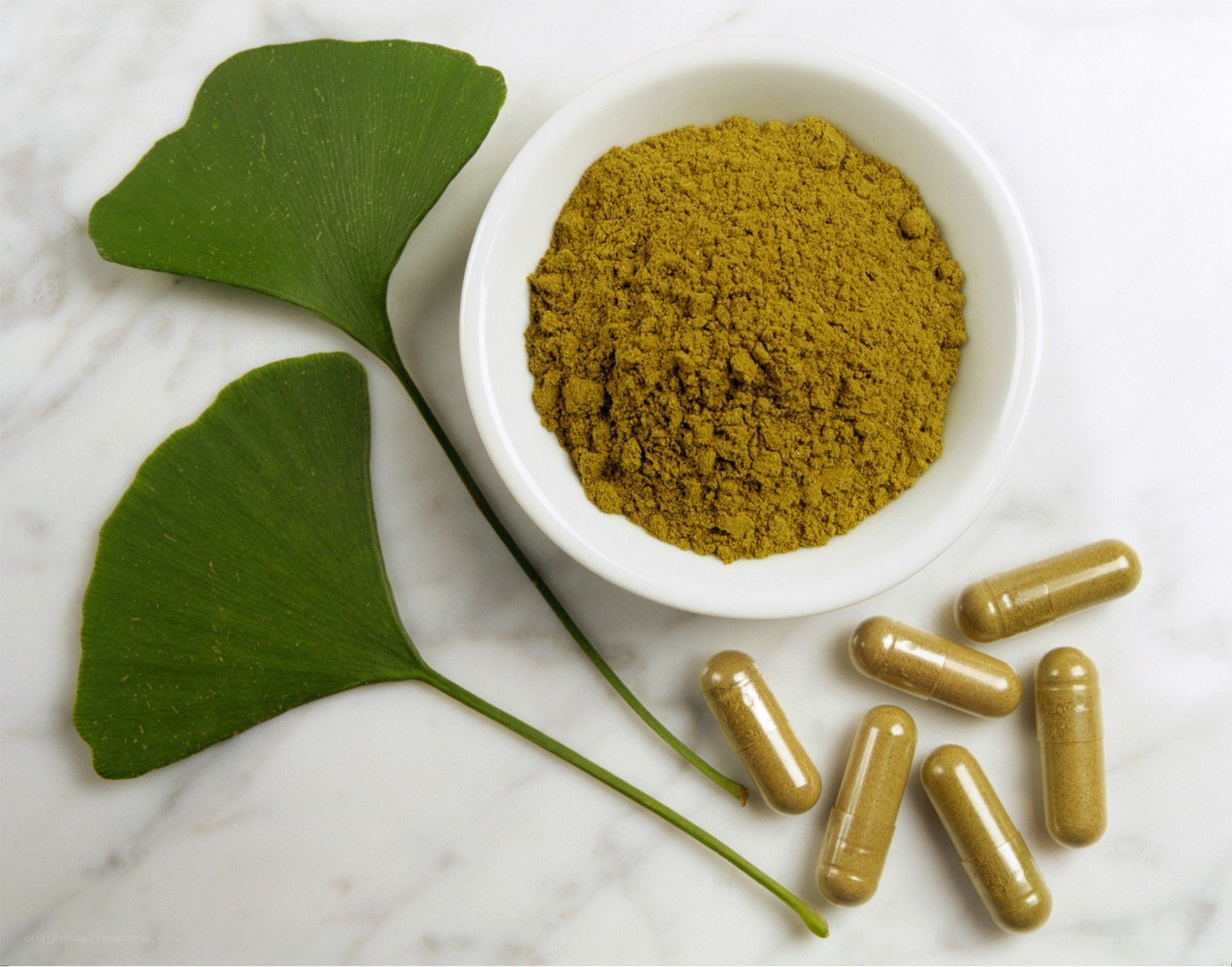 Ginkgo biloba supplements and leaves