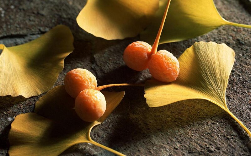 Ginkgo Fruits and Leaves
