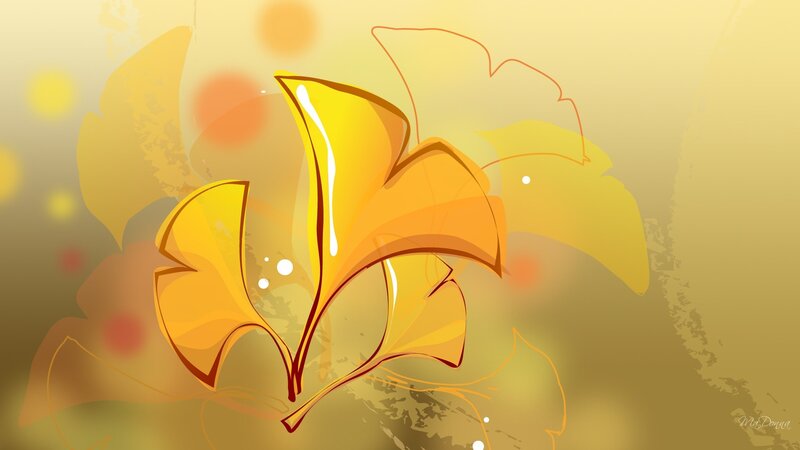 Ginkgo Leaves