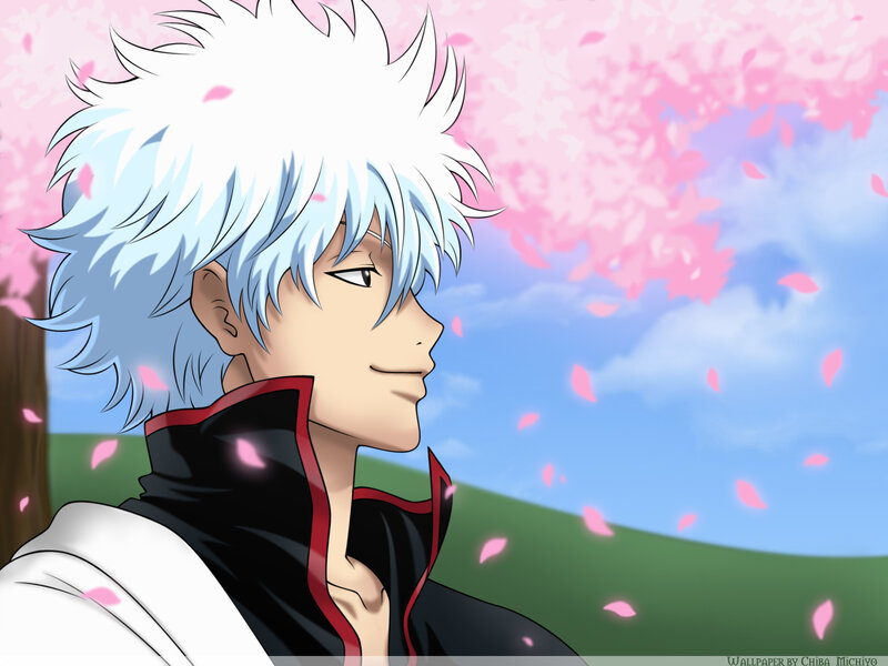 Gintoki Sakata in cherry blossoms