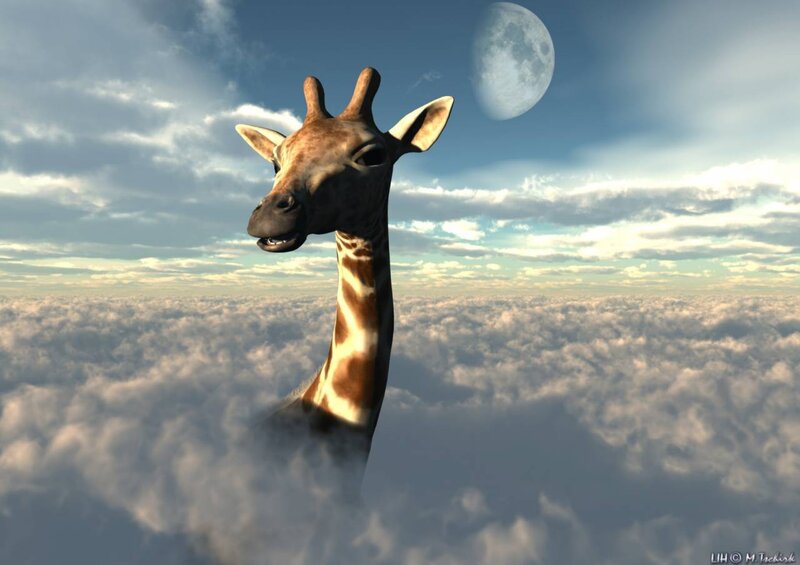 giraffe above the clouds