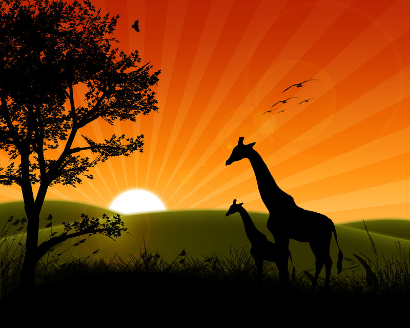 Giraffe and Calf Silhouette