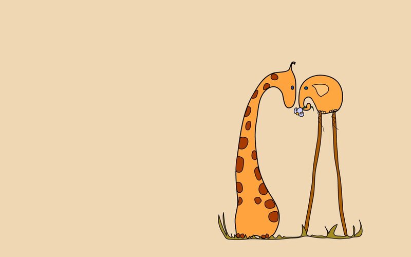 giraffe and elephant kissing