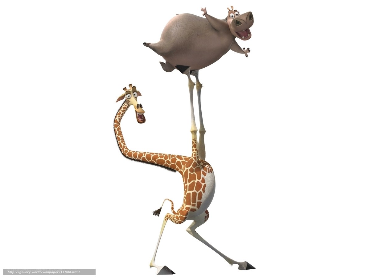 Giraffe and hippo animation