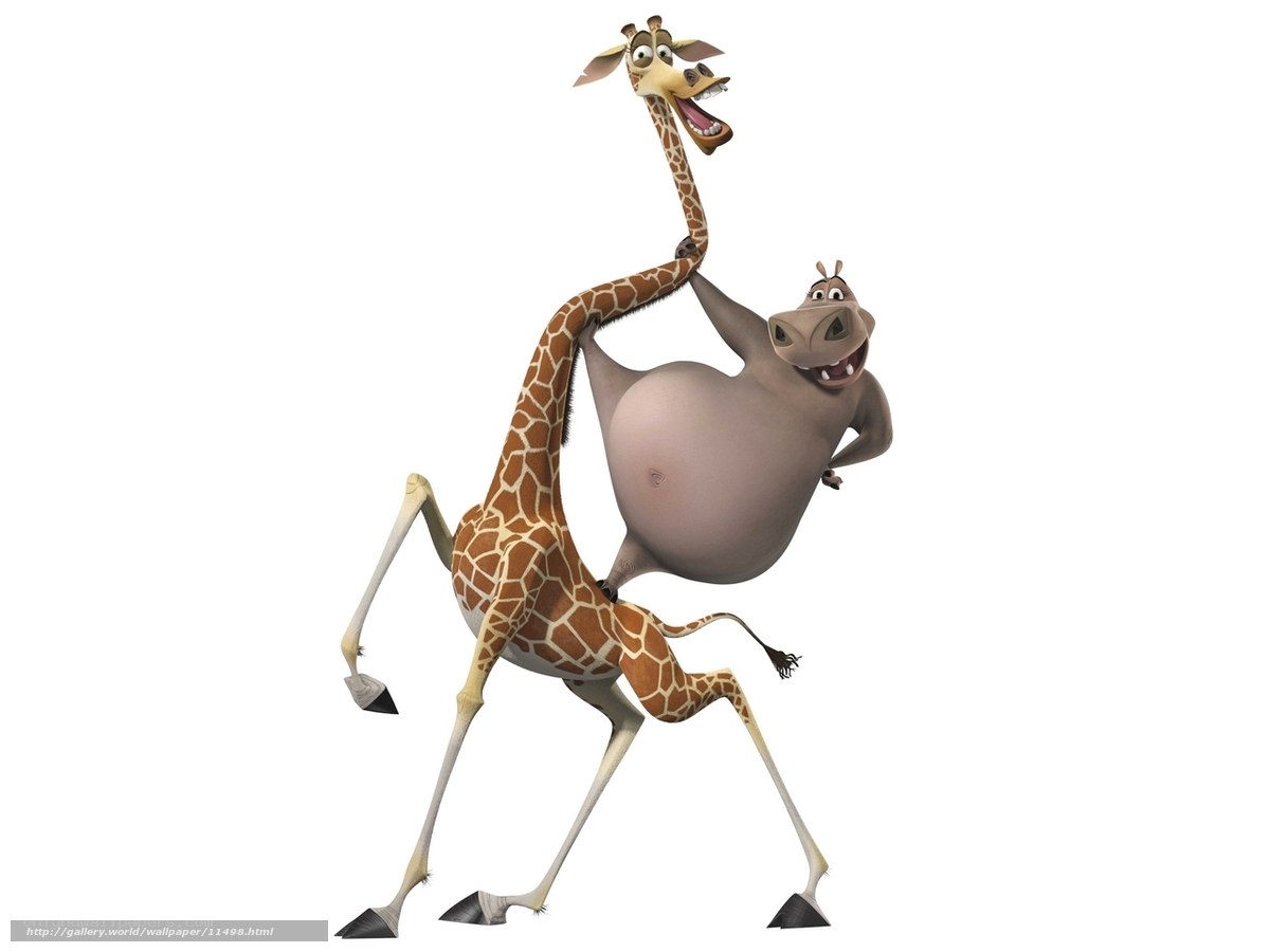 Giraffe and hippo dancing