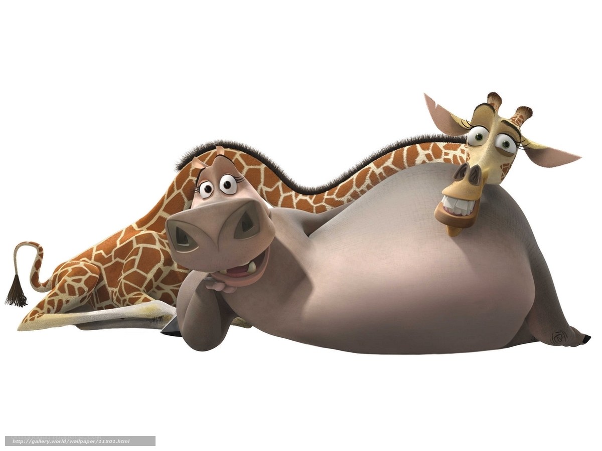 Giraffe and hippo friends